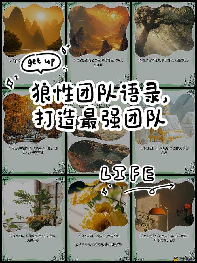 仙旅奇缘，策略与协作并重，全面指南教你如何打造游戏中最强团队